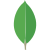 MongoDB